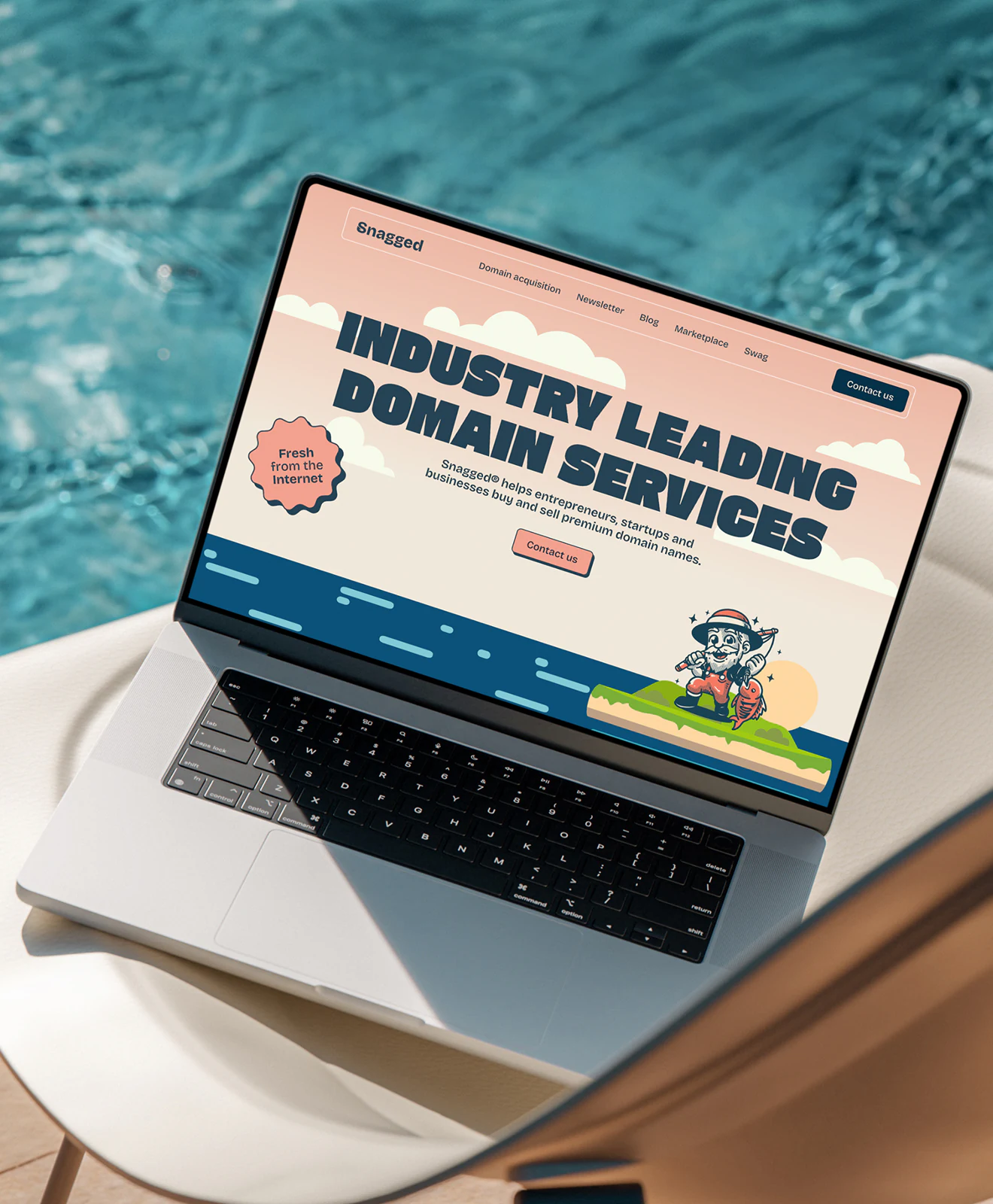 Snagged domain services homepage